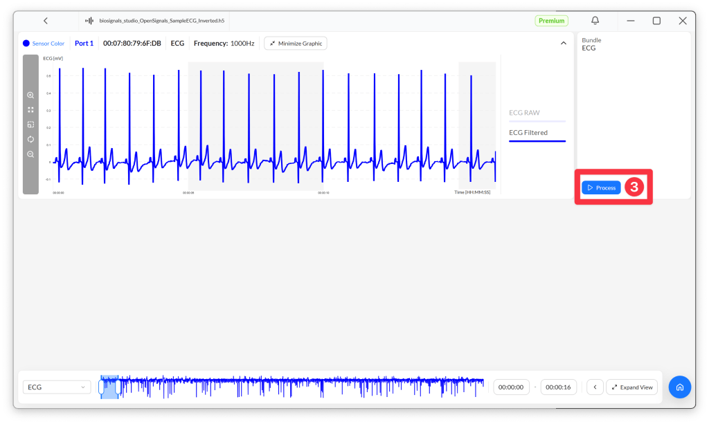 A user interface for analyzing ECG data, displaying blue waveform graphs for raw and filtered ECG signals, with a 'Process' button highlighted.